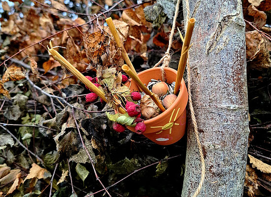 Lebensräume - wie können wir Tieren in unserer Stadt helfen