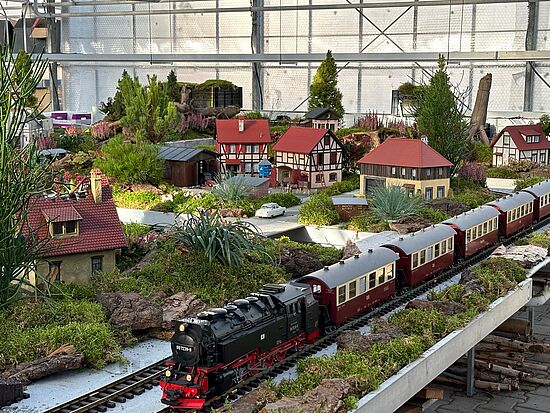 Eine Reise Richtung Advent