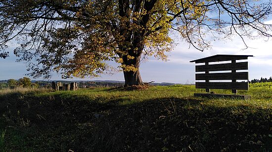 Bewegung in der Natur und Begegnung als Weg-Erfahrung in der Trauer