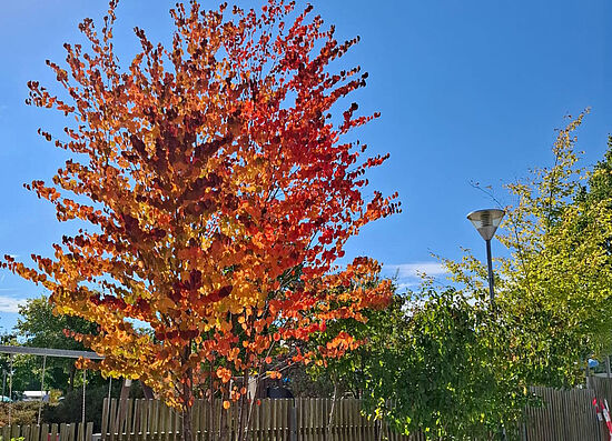 Familiencafé: Der Herbst ist da!