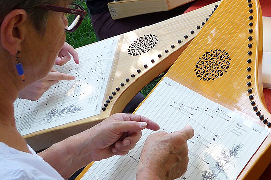 Musik für alle! - Schnupperkurs Veeh-Harfe