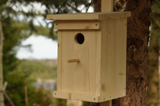 Wir bauen Nistkästen